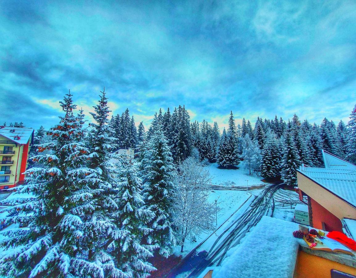 Hotel Vila Simonte Poiana Brasov Extérieur photo