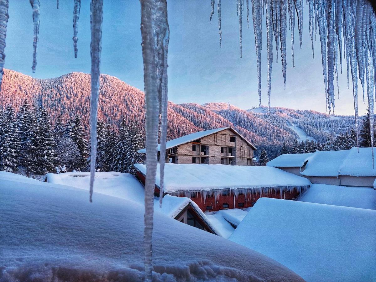 Hotel Vila Simonte Poiana Brasov Extérieur photo